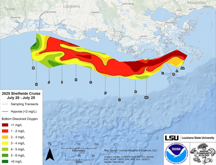 wx073125gulf2.PNG